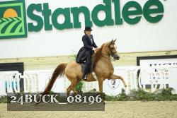 24BUCK_08196 thumbnail