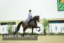 24BUCK_08197 thumbnail