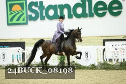 24BUCK_08198 thumbnail