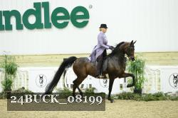 24BUCK_08199 thumbnail