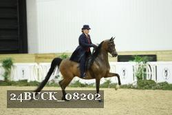 24BUCK_08202 thumbnail