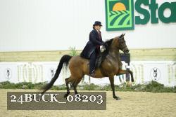 24BUCK_08203 thumbnail