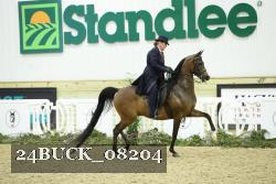 24BUCK_08204 thumbnail