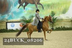 24BUCK_08206 thumbnail