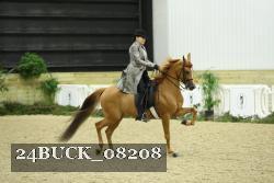 24BUCK_08208 thumbnail