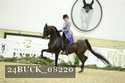 24BUCK_08220 thumbnail