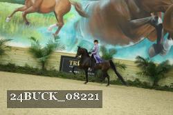 24BUCK_08221 thumbnail