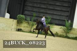 24BUCK_08223 thumbnail