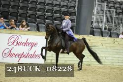24BUCK_08228 thumbnail