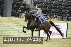 24BUCK_08229 thumbnail