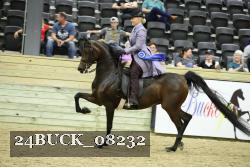 24BUCK_08232 thumbnail