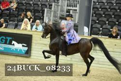 24BUCK_08233 thumbnail