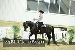 24BUCK_08240 thumbnail