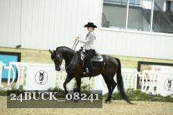 24BUCK_08241 thumbnail
