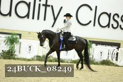 24BUCK_08249 thumbnail