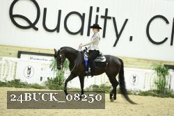 24BUCK_08250 thumbnail