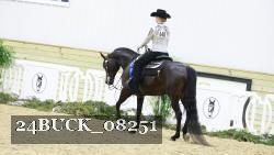 24BUCK_08251 thumbnail