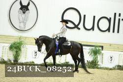 24BUCK_08252 thumbnail