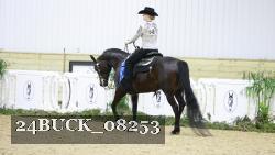 24BUCK_08253 thumbnail