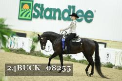 24BUCK_08255 thumbnail
