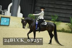 24BUCK_08257 thumbnail
