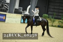 24BUCK_08258 thumbnail