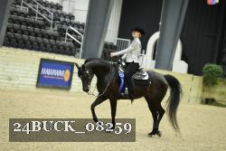 24BUCK_08259 thumbnail