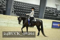 24BUCK_08261 thumbnail