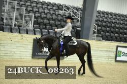 24BUCK_08263 thumbnail