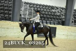 24BUCK_08265 thumbnail
