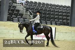 24BUCK_08267 thumbnail