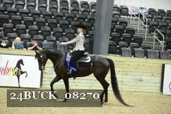 24BUCK_08270 thumbnail