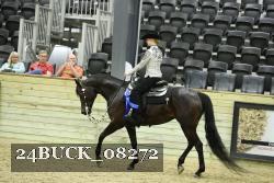 24BUCK_08272 thumbnail