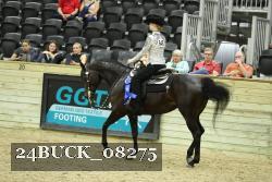 24BUCK_08275 thumbnail