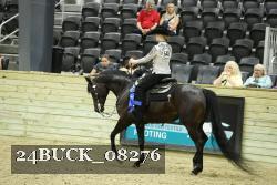 24BUCK_08276 thumbnail