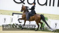 24BUCK_08281 thumbnail