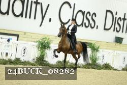 24BUCK_08282 thumbnail