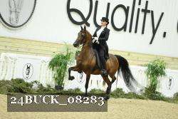 24BUCK_08283 thumbnail