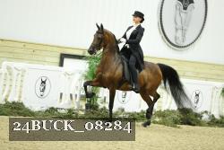 24BUCK_08284 thumbnail