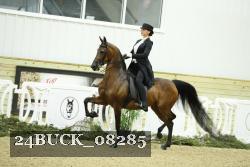24BUCK_08285 thumbnail
