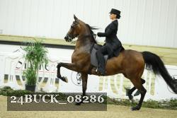 24BUCK_08286 thumbnail
