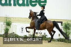 24BUCK_08287 thumbnail