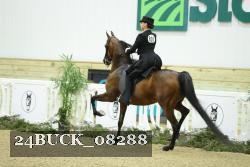24BUCK_08288 thumbnail