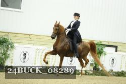 24BUCK_08289 thumbnail