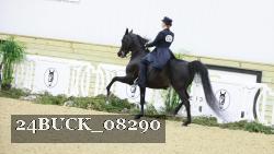 24BUCK_08290 thumbnail