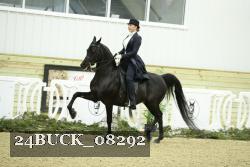 24BUCK_08292 thumbnail