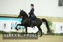 24BUCK_08294 thumbnail