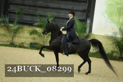 24BUCK_08299 thumbnail