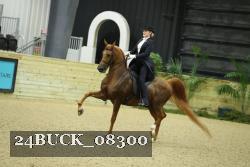 24BUCK_08300 thumbnail