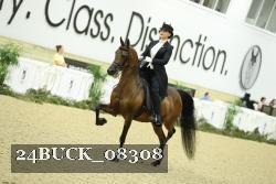 24BUCK_08308 thumbnail